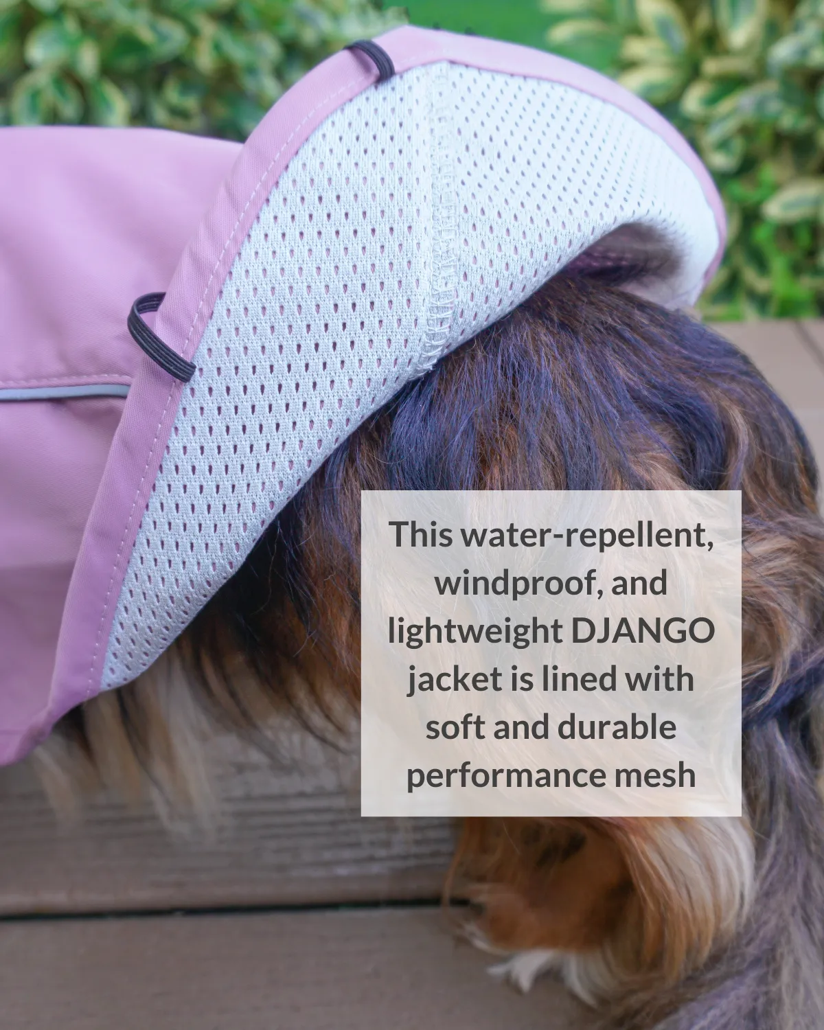 City Slicker All-Weather Dog Jacket & Raincoat - Lilac Purple