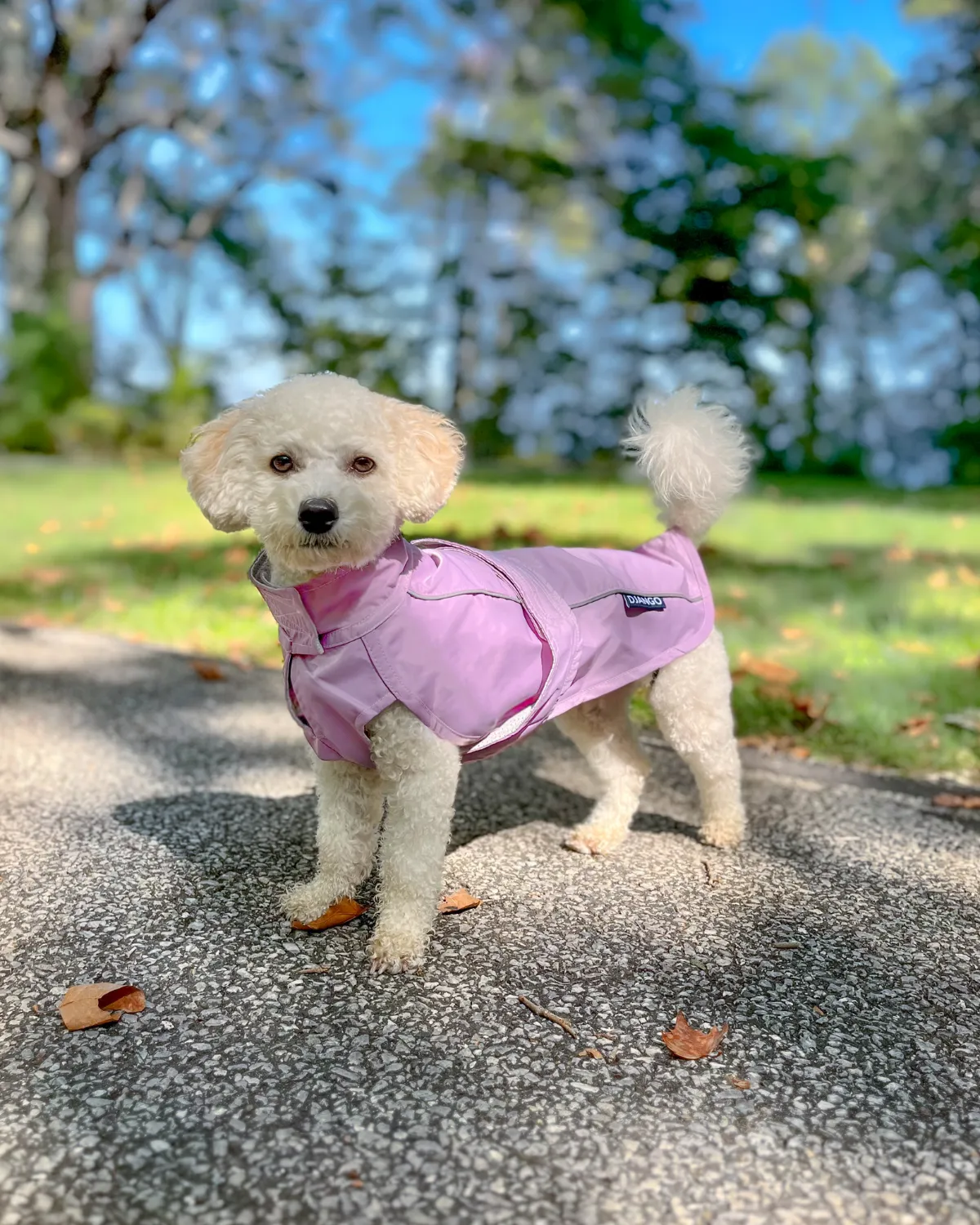 City Slicker All-Weather Dog Jacket & Raincoat - Lilac Purple