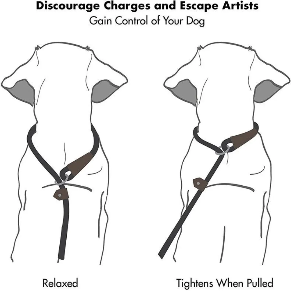 Dog Pet Nylon Pull-Resistant Leash