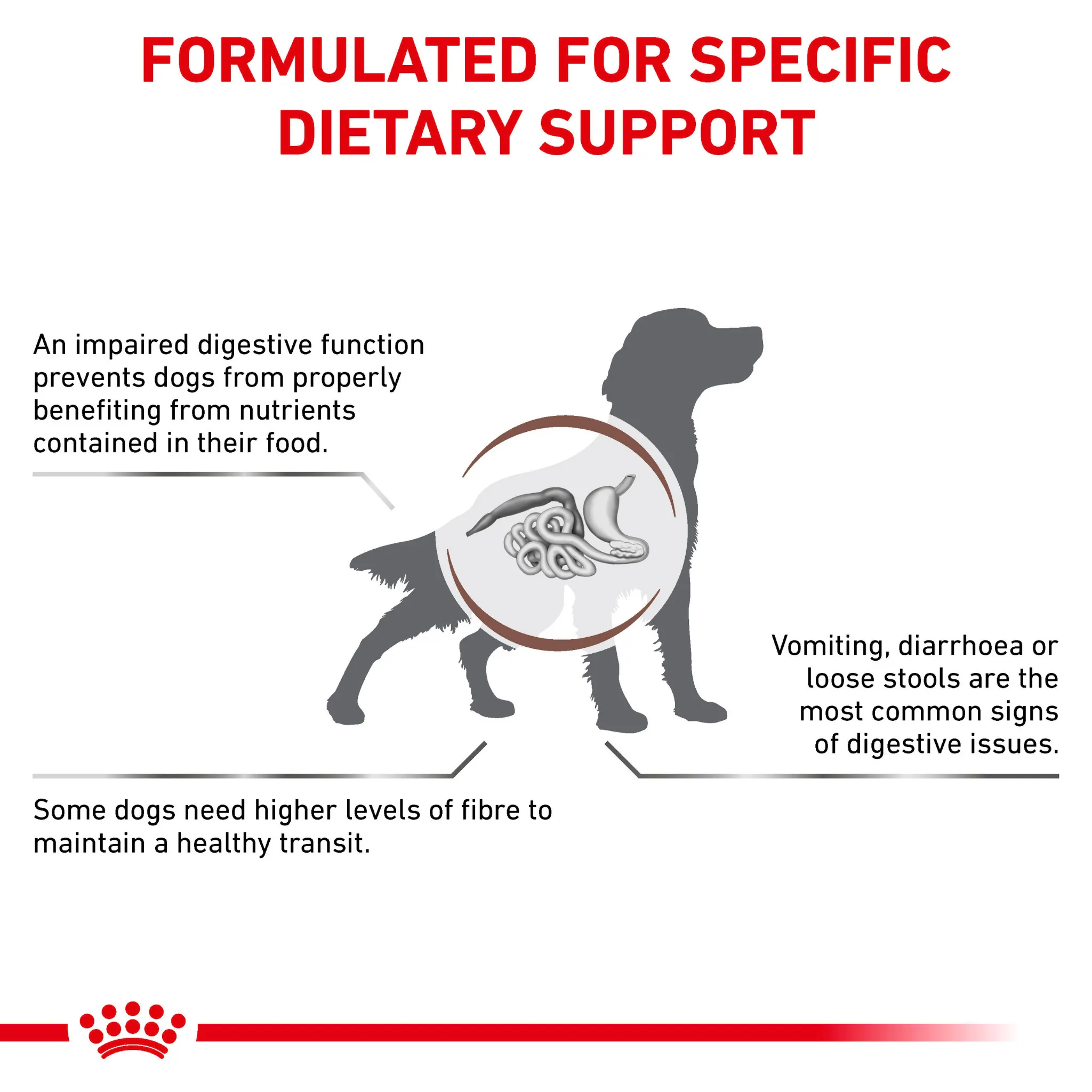 ROYAL CANIN® Gastrointestinal High Fibre Adult Dry Dog Food